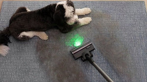 L'élément manquant du nettoyage domestique : Pourquoi Tineco offre une véritable sensation de fraîcheur